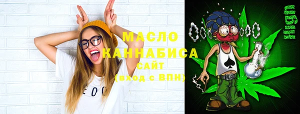 2c-b Богородицк