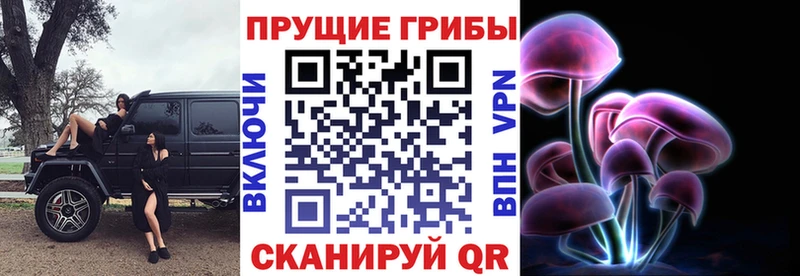 Галлюциногенные грибы Psilocybine cubensis  Шахты 